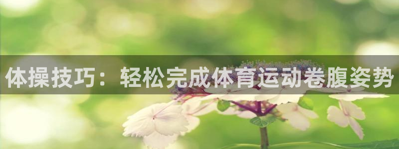 中欧关系定位：体操技巧：轻松完成体育运动卷腹姿势