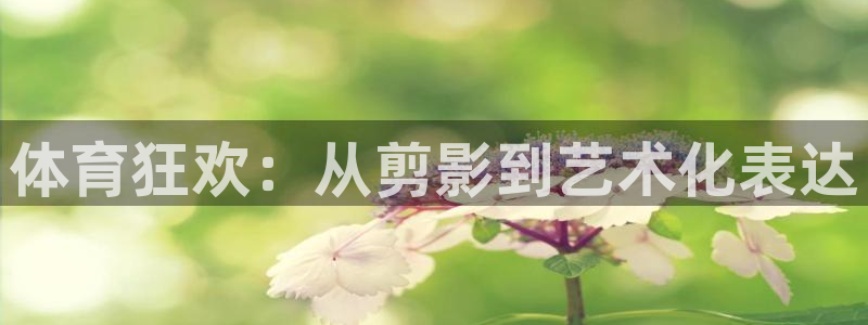 中欧列车：体育狂欢：从剪影到艺术化表达