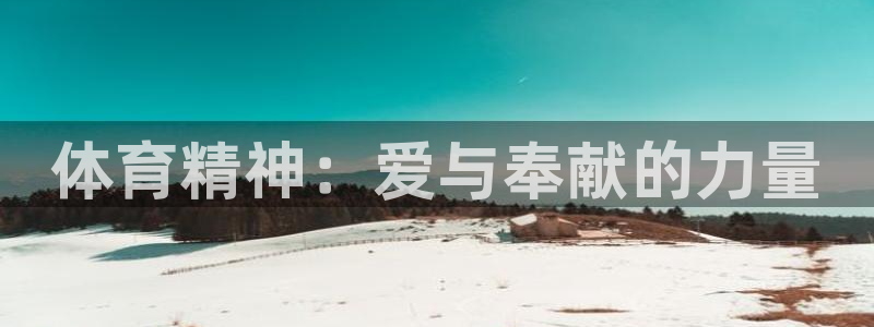 中欧阿尔法今天净值：体育精神：爱与奉献的力量