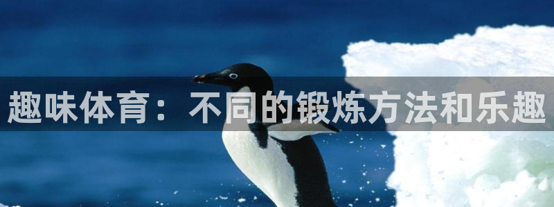 中欧cmo班：趣味体育：不同的锻炼方法和乐趣