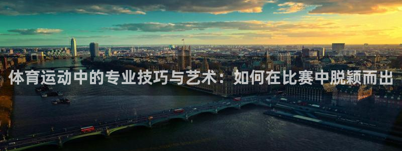 中欧睿智精选一年持有FOF：体育运动中的专业技巧与艺术：如何在比赛中脱颖而出