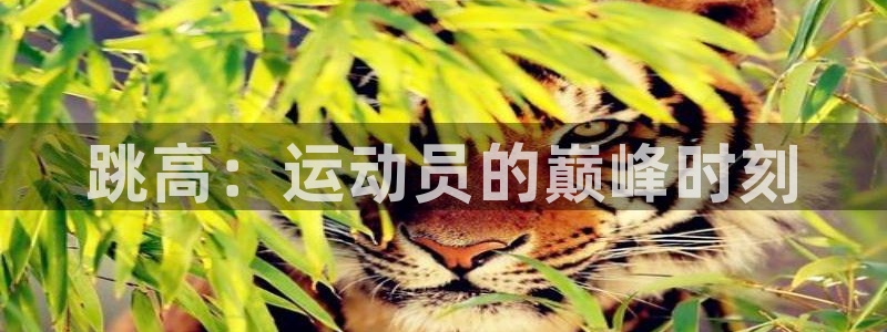 中欧专列：跳高：运动员的巅峰时刻