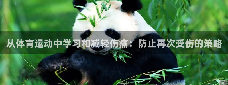 中欧医疗健康混合C(003096)：从体育运动中学习和减轻伤痛：防止再次受伤的策略
